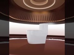One Piece Toilet