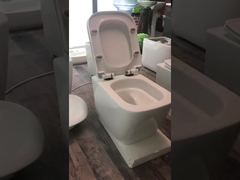 Wall Hung Toilet
